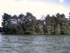 island.jpg (30016 bytes)